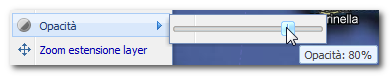 layer_opacity